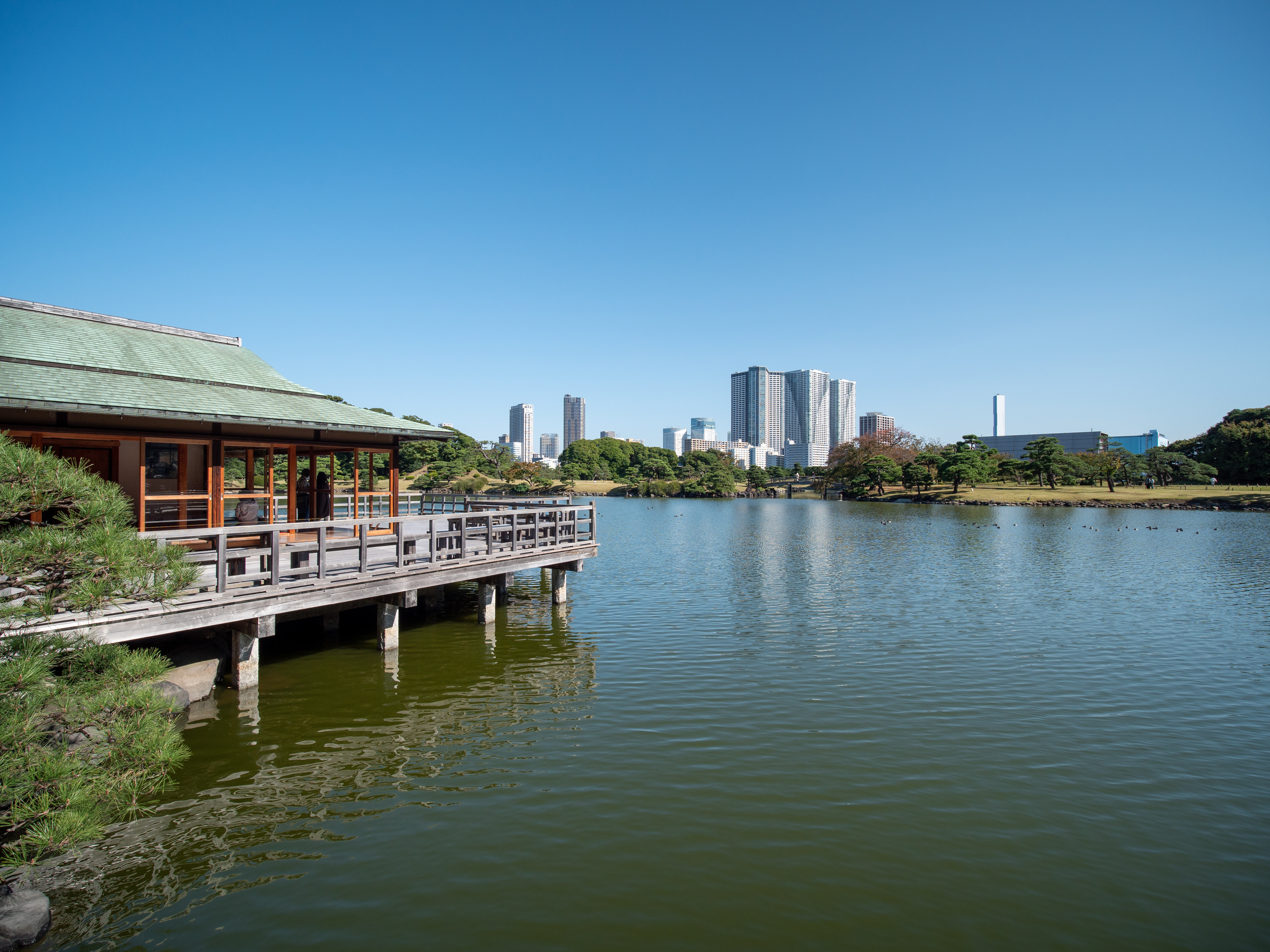 Tokyo in October: weather, activities, and tips | Vialala