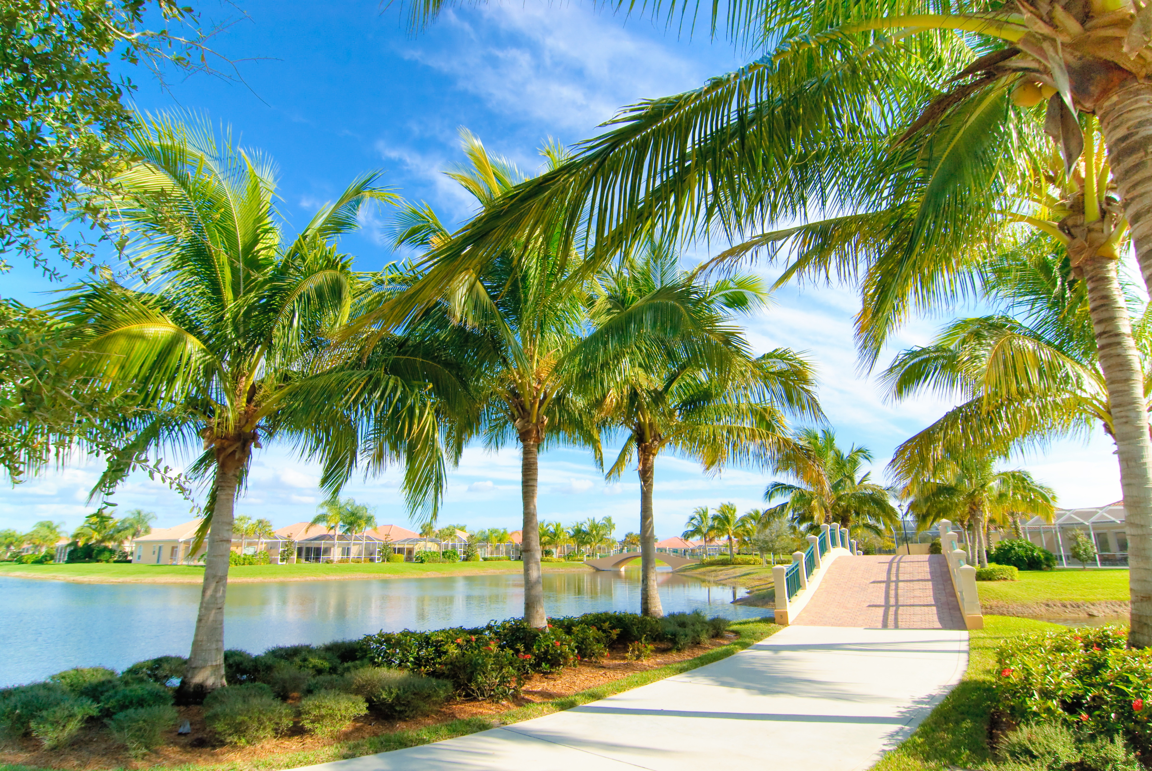 Florida in August: weather, activities, and tips | Vialala